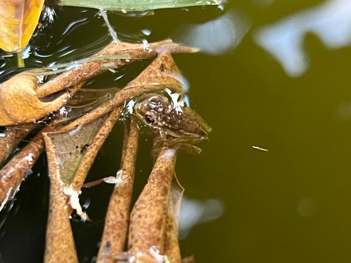 [Thumbnail for IMG_3185.JPG]