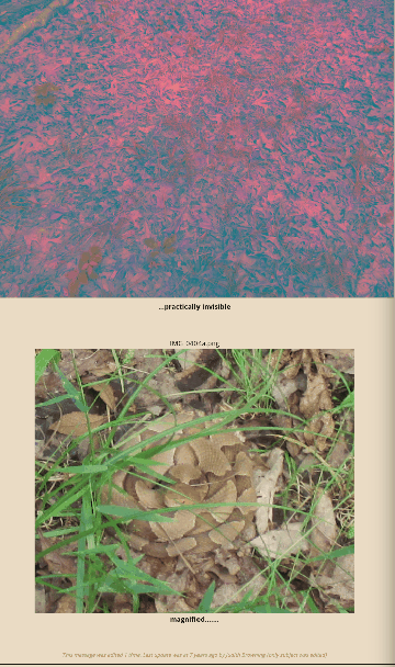 [Thumbnail for 20230408_083700.gif]