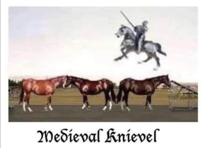 Medieval Knieval