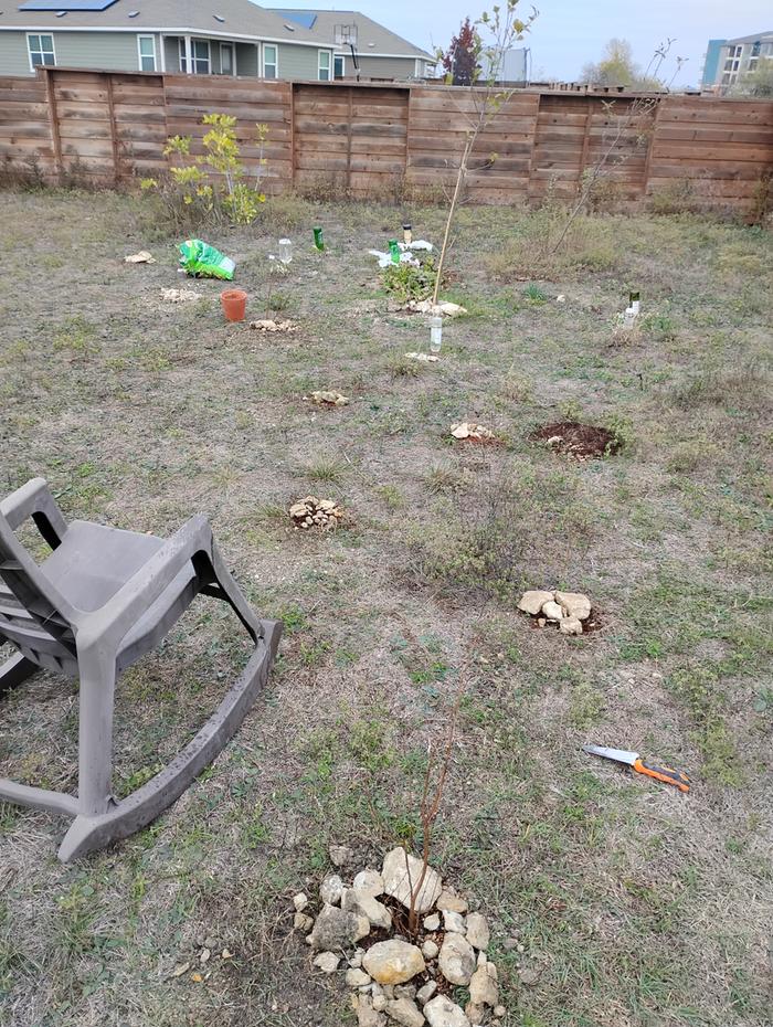 [Thumbnail for IMG_20251214_151837317.jpg]