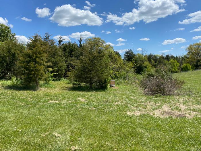 possible grazing pasture for sheep