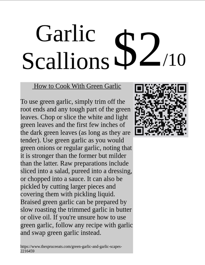 Garlic Scallion sign