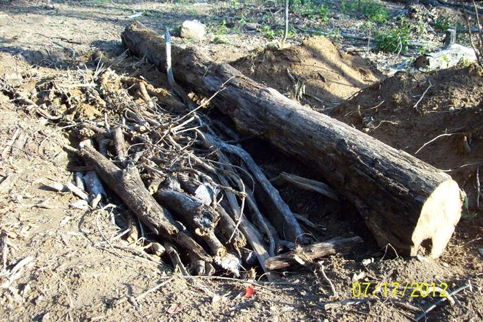 Beginning of bed. Trench filled with rotting wood to ground level.