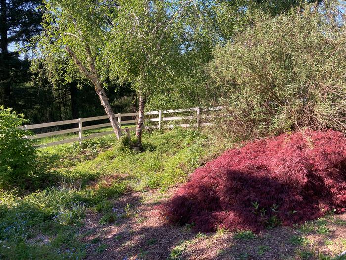 [Thumbnail for 4290BCB8-F408-4C48-9270-7E8C1A82854B.jpeg]