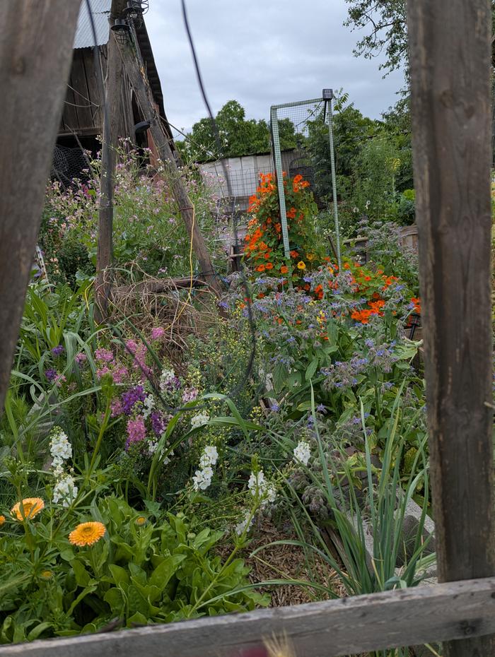 [Thumbnail for PXL_20260410_194448621.jpg]