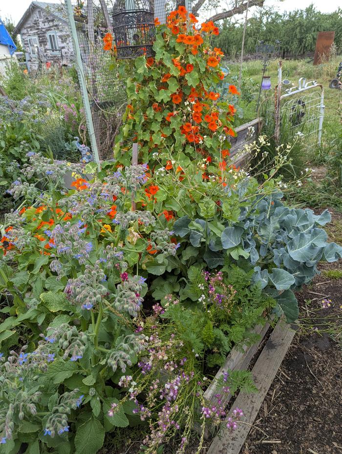 [Thumbnail for PXL_20260410_193433219.jpg]