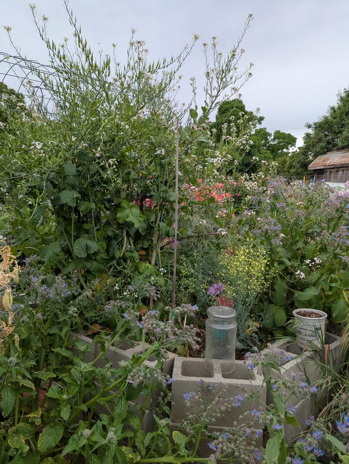 [Thumbnail for PXL_20260410_193348891.jpg]