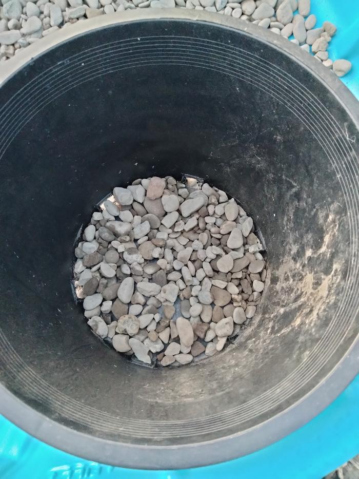 Pot with rock 