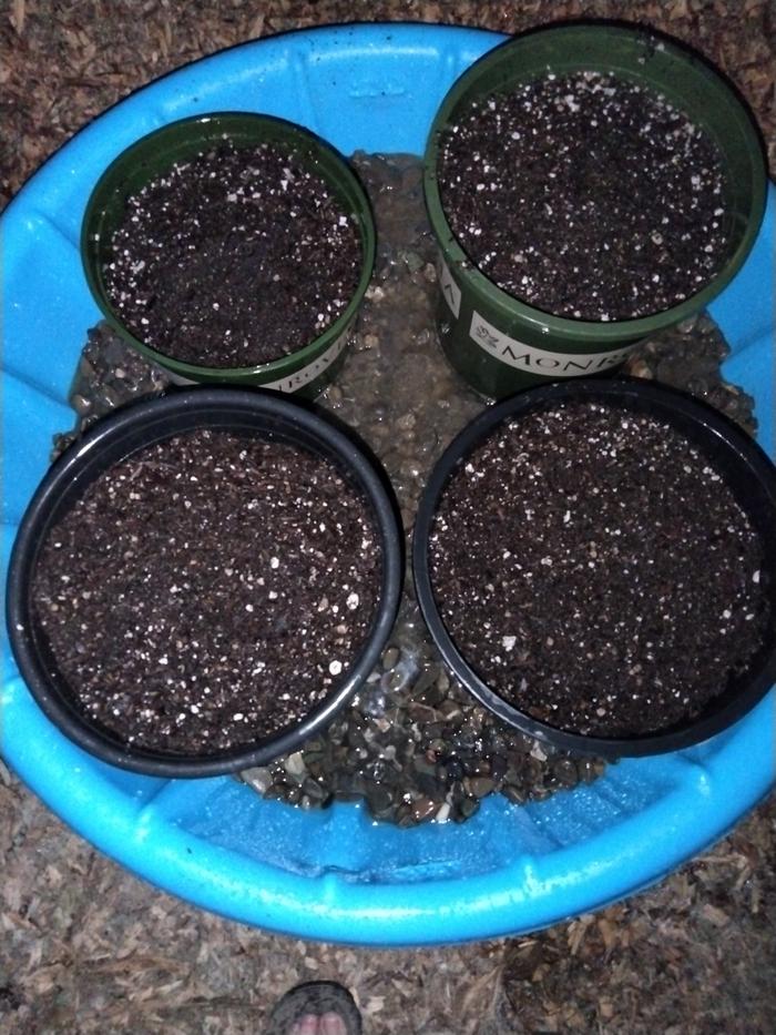 Done, just needs plants
