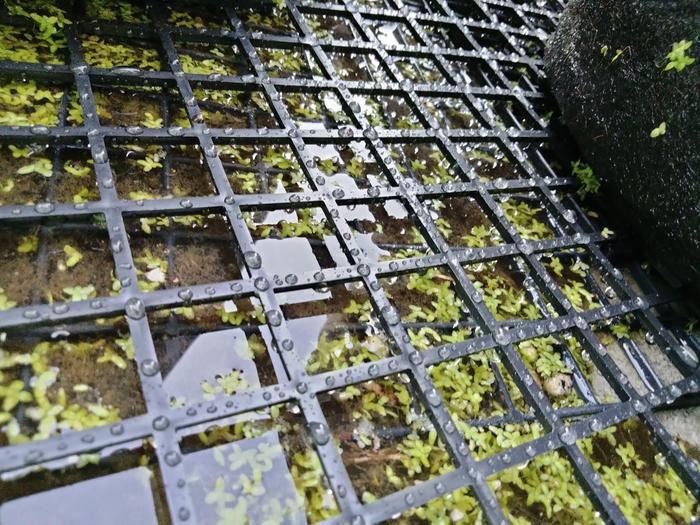 Water level 