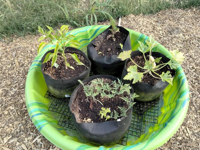 Grow bag system 6/27/23