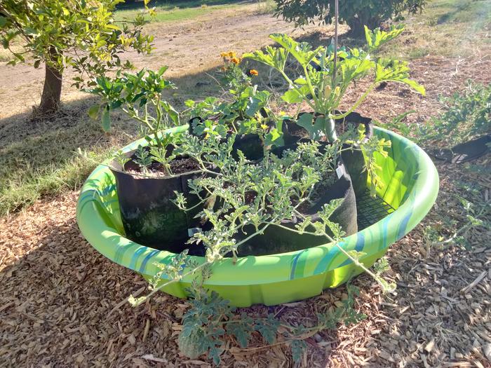 Grow pot system 8/23