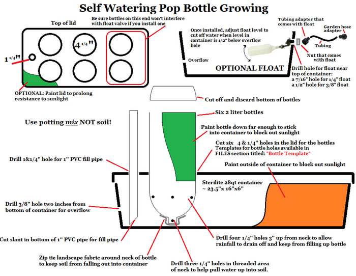 [Thumbnail for POP-bottle-Growing.png]