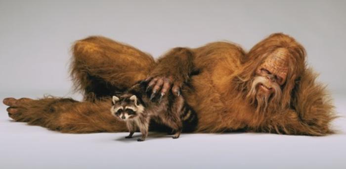 THE BIGFOOT