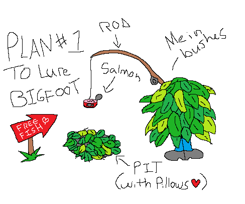 how to catch bigfoot