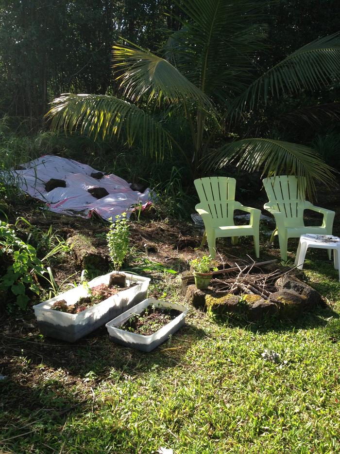 [Thumbnail for IMG_4332.JPG]