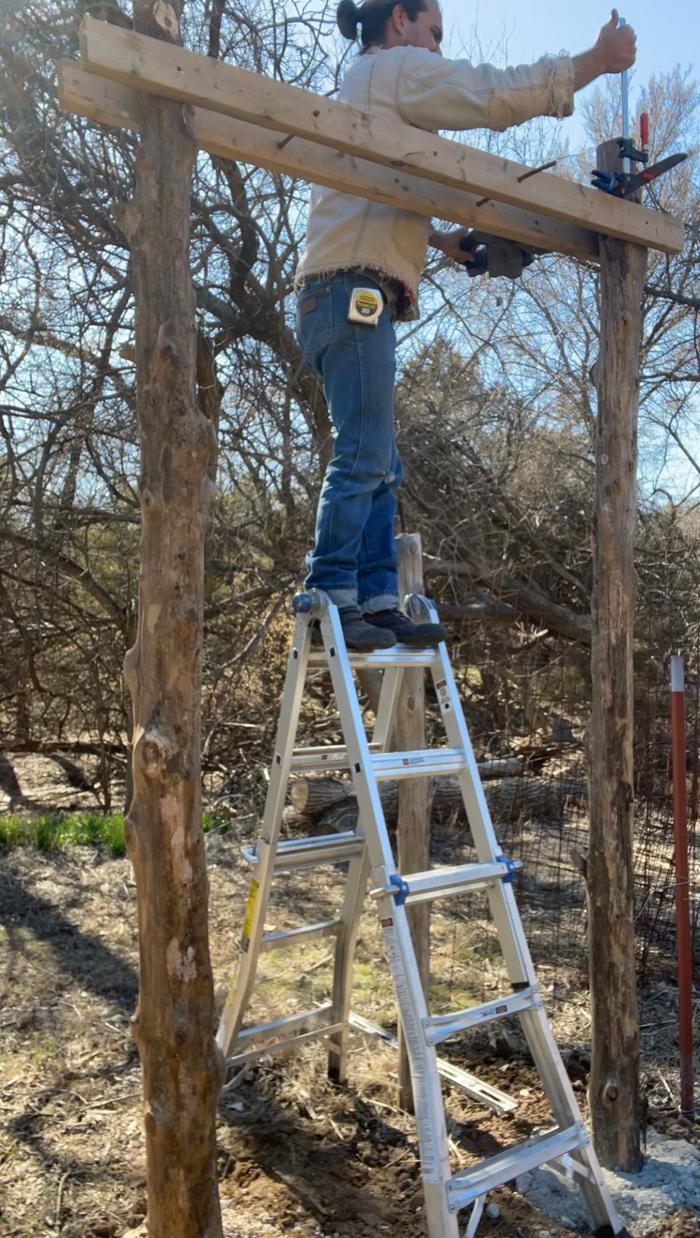 man-on-ladder-building-roundwood-timber-structure