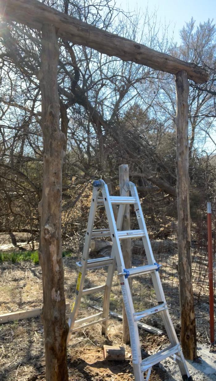 ladder-under-roundwood-timber-structure