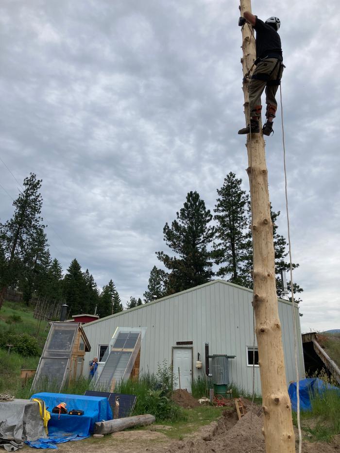 Stephen climbs for bob