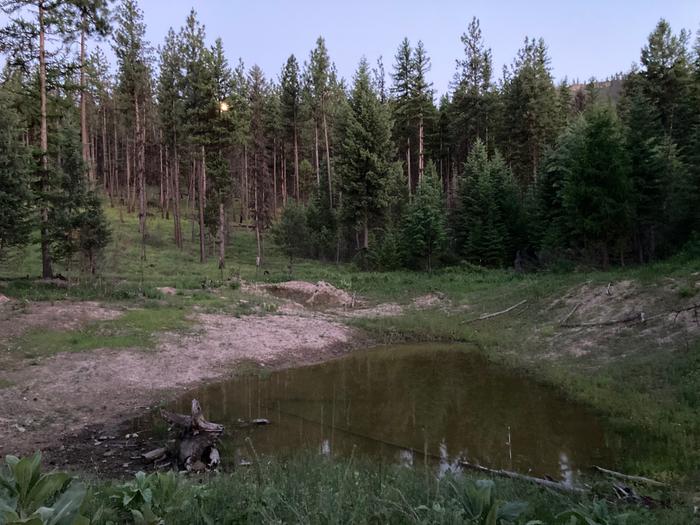 Moon rise at the pond