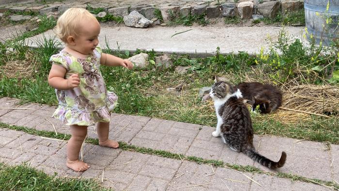 Bay K Casting wisdom spells for fern