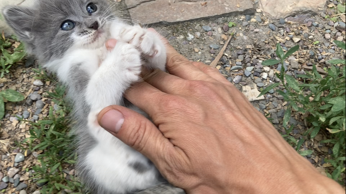 Gandhi belly rub time