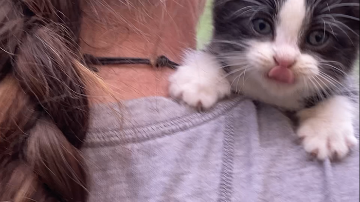 Bean , fern’s bebe 