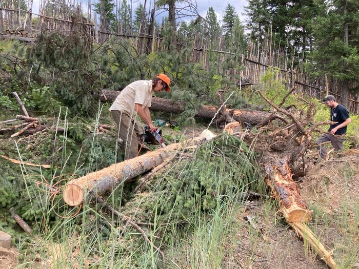 A and S splitting logs