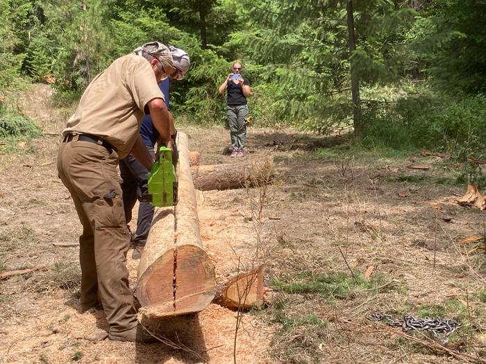 Splitting a log, M