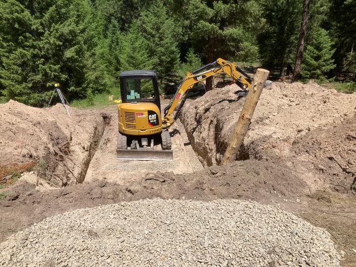 Root cellar progress