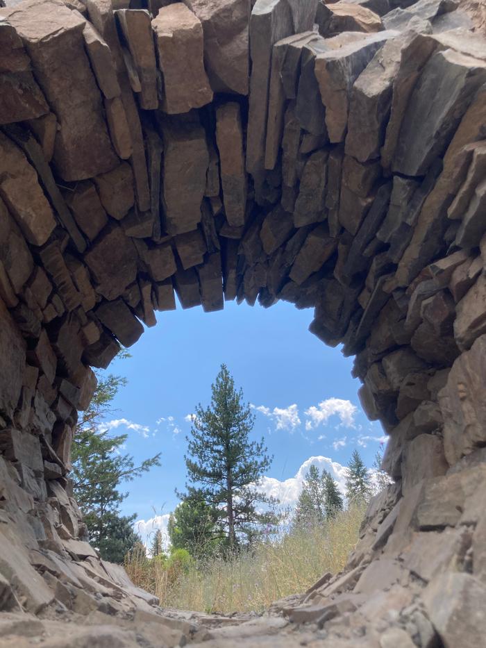 Tree through the moon gate