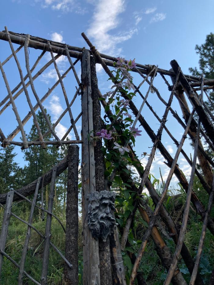 Flowers on a vine