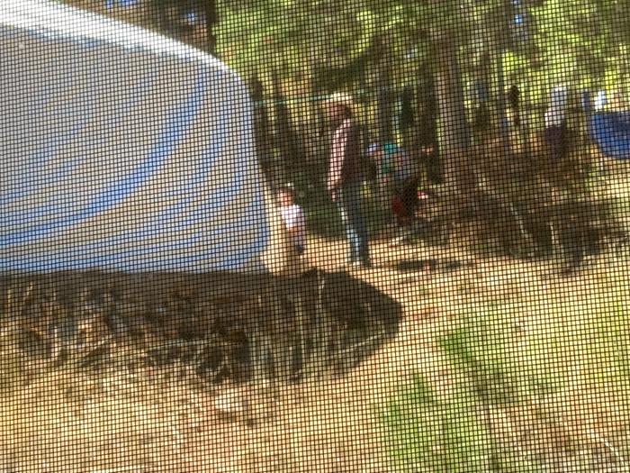 Yurt progress