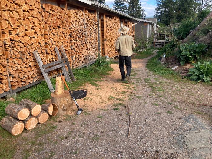 Firewood gathering