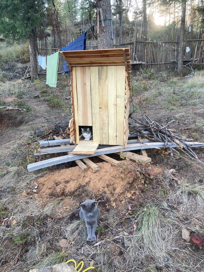 Guess who likes the new kitty land cat house… 