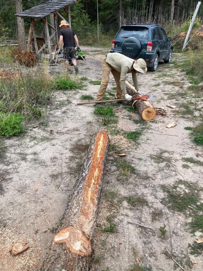 Peeling logs