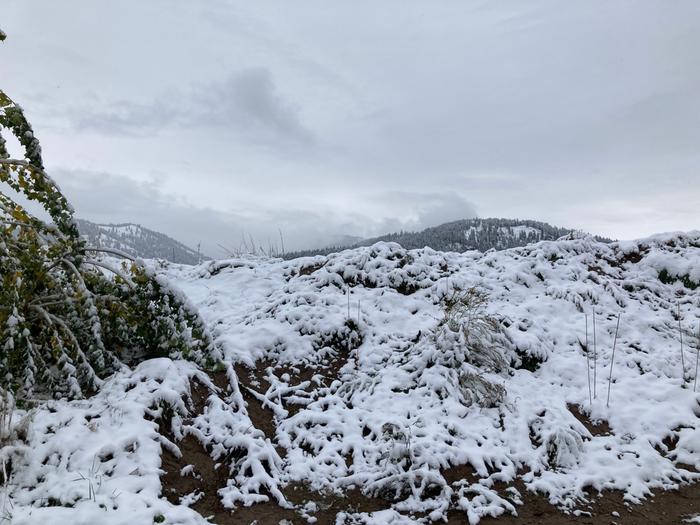 First snowfall