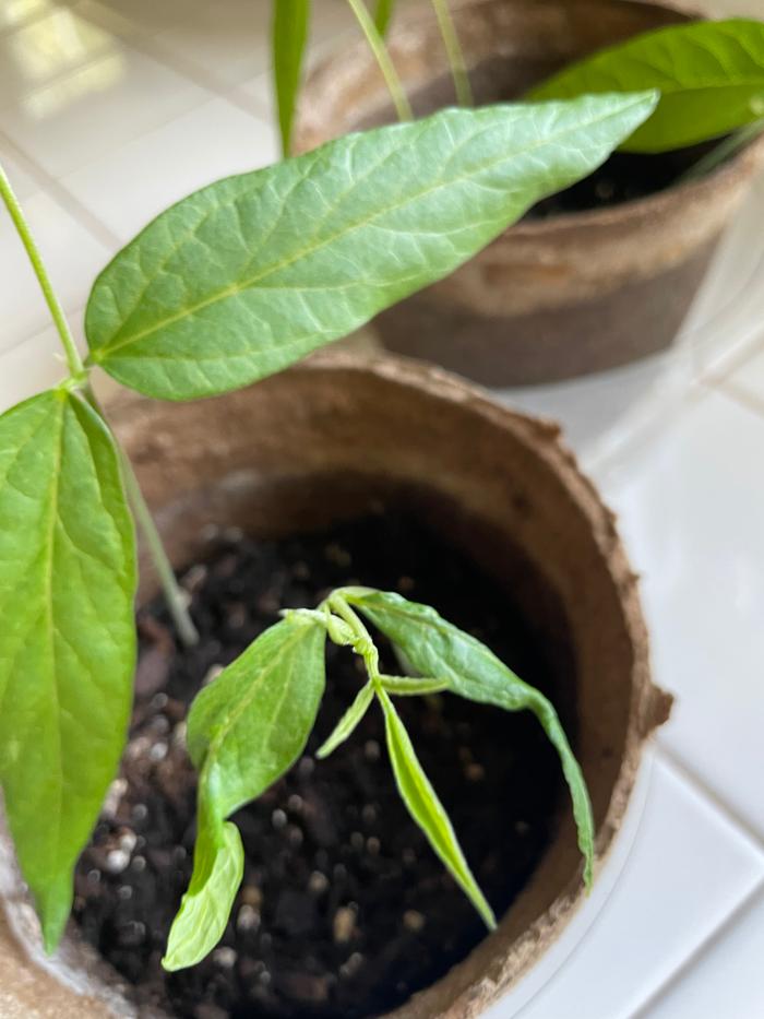 [Thumbnail for 25258EE4-76BF-4567-A28B-8976C561876B.jpeg]