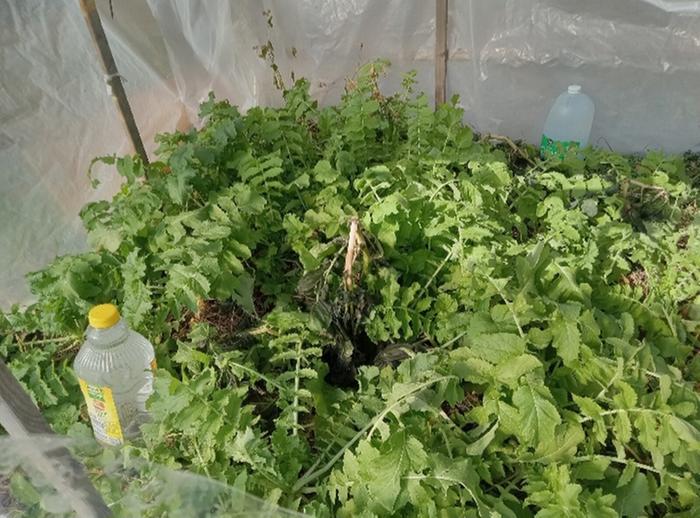 45 days freeze protection with cover and water jugs