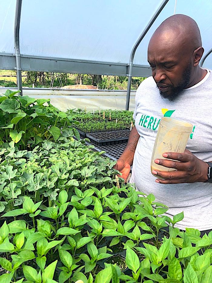 [Thumbnail for Heru-examining-pepper-seedlings.jpg]