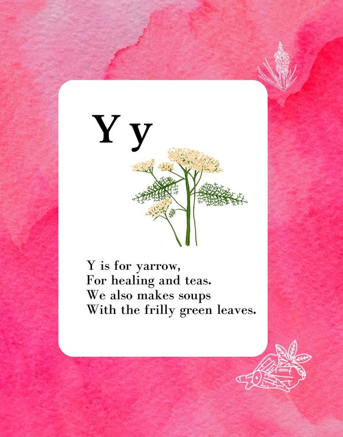 [Thumbnail for y-is-for-yarrow.jpg]