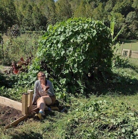 in my happy place, digging up sweet potatoes. the vines behind me are loofahs