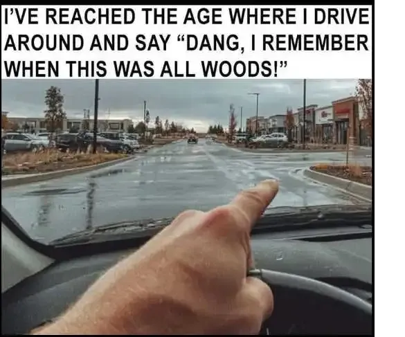 [Thumbnail for woods.png]