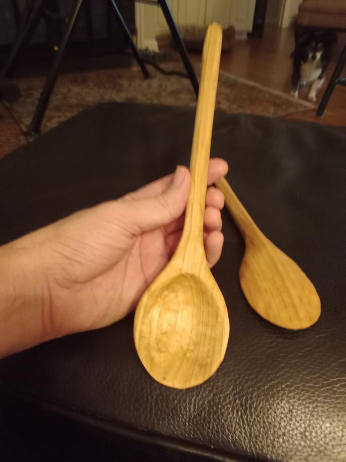 two wooden cooking spoons