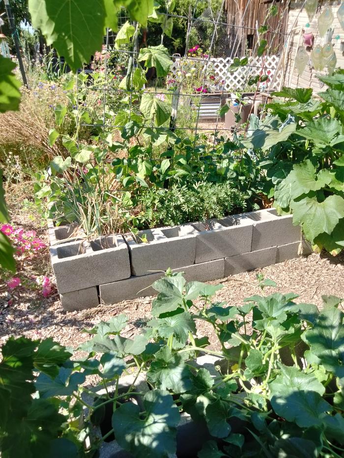 Concrete block hugel beet