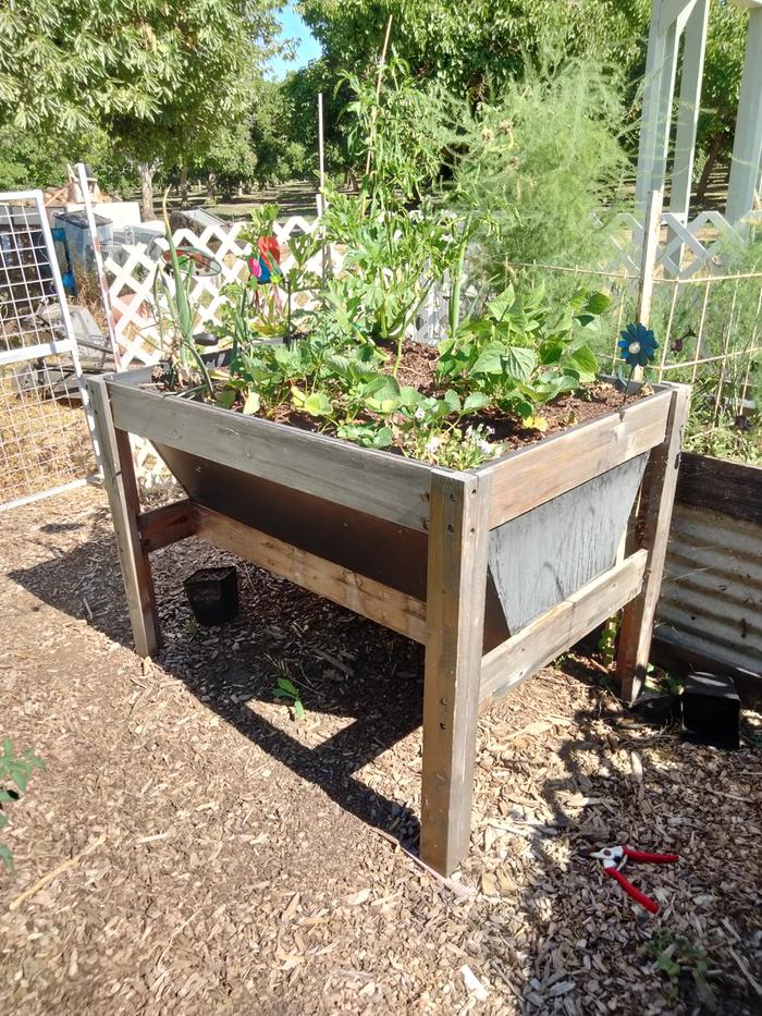 Clearance bed