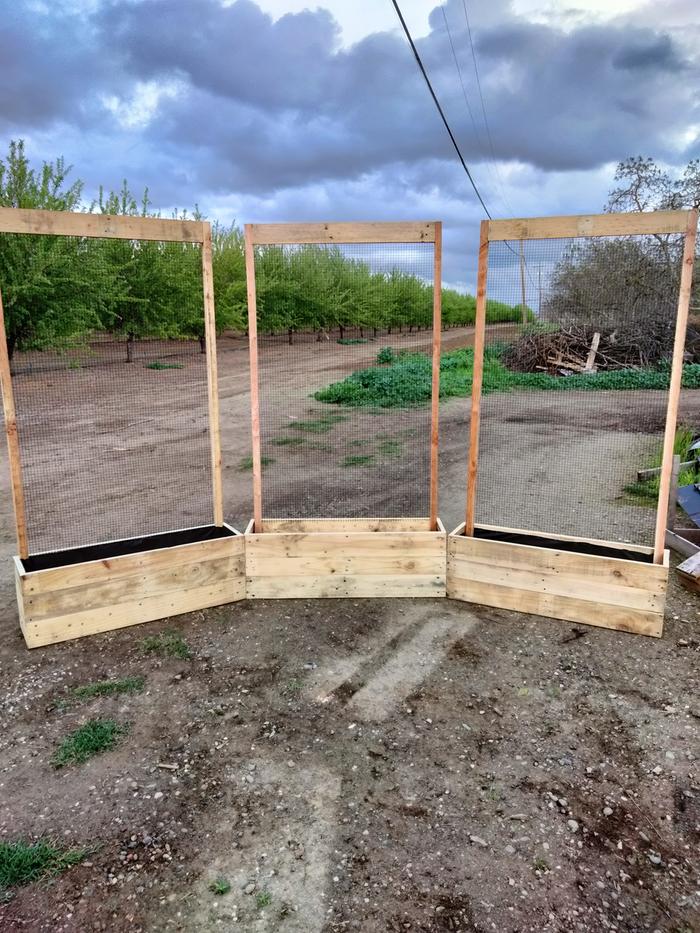 shallow beds with trellises. My hope is the hardwire cloth and climbing flowers will give it a little protection