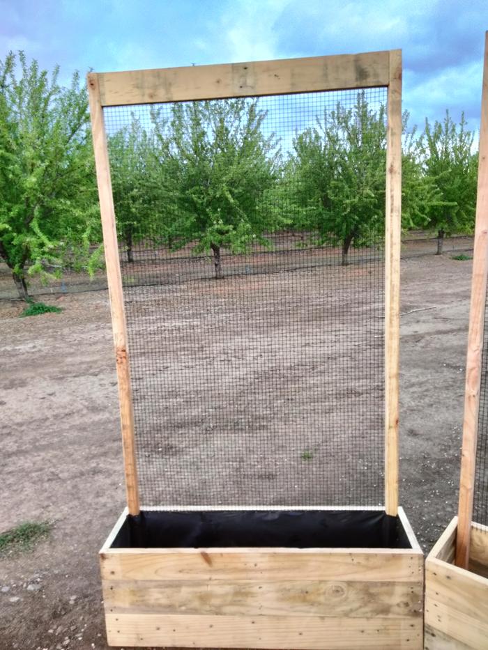 trellis for protection from flying stones