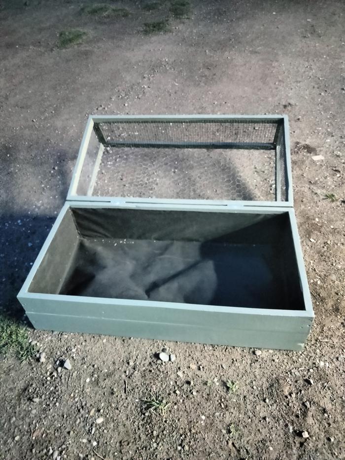 raise bed with bird protection