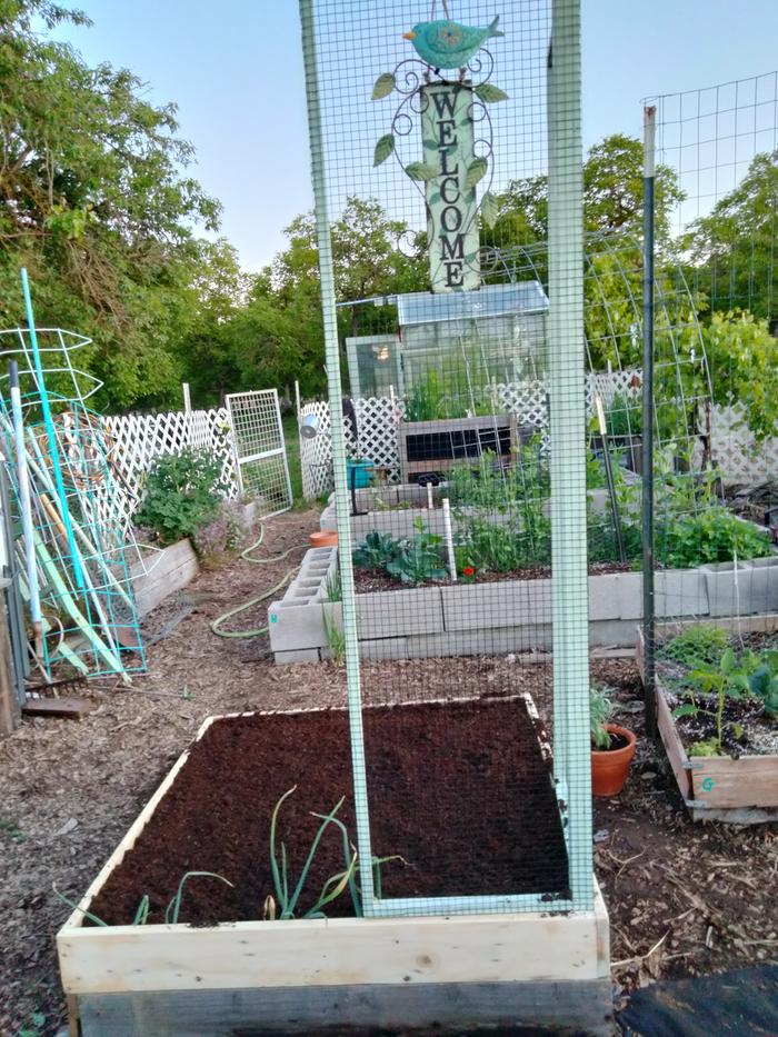 raised bed with hardward cloth trellis